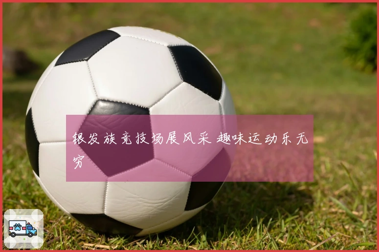 银发族竞技场展风采 趣味运动乐无穷